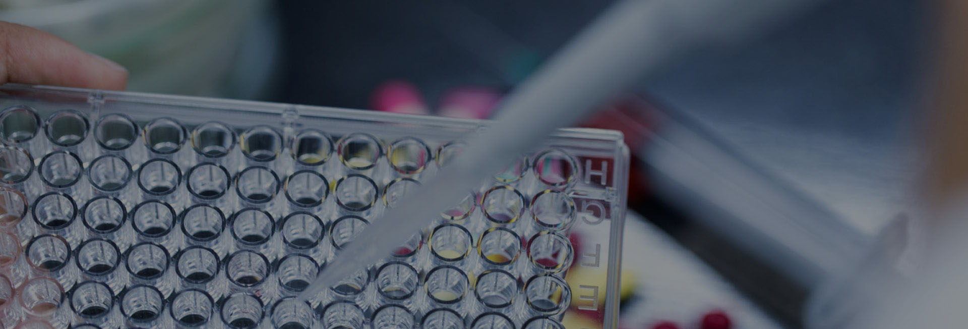 High-quality Custom Chromatography Reagents