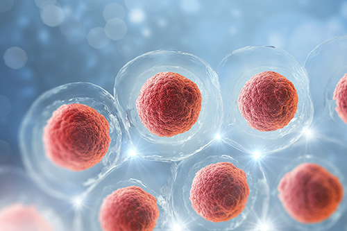 Human ELABELA ELISA Kit