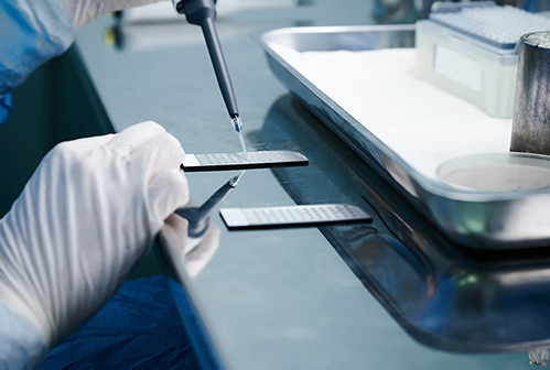 PhosphoHiLA™ Assay Kits