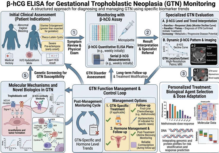 β-hCG ELISA for Gestational Trophoblastic Neoplasia Monitoring ...