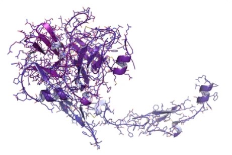 Overview of Factor VII Protein - Creative Diagnostics