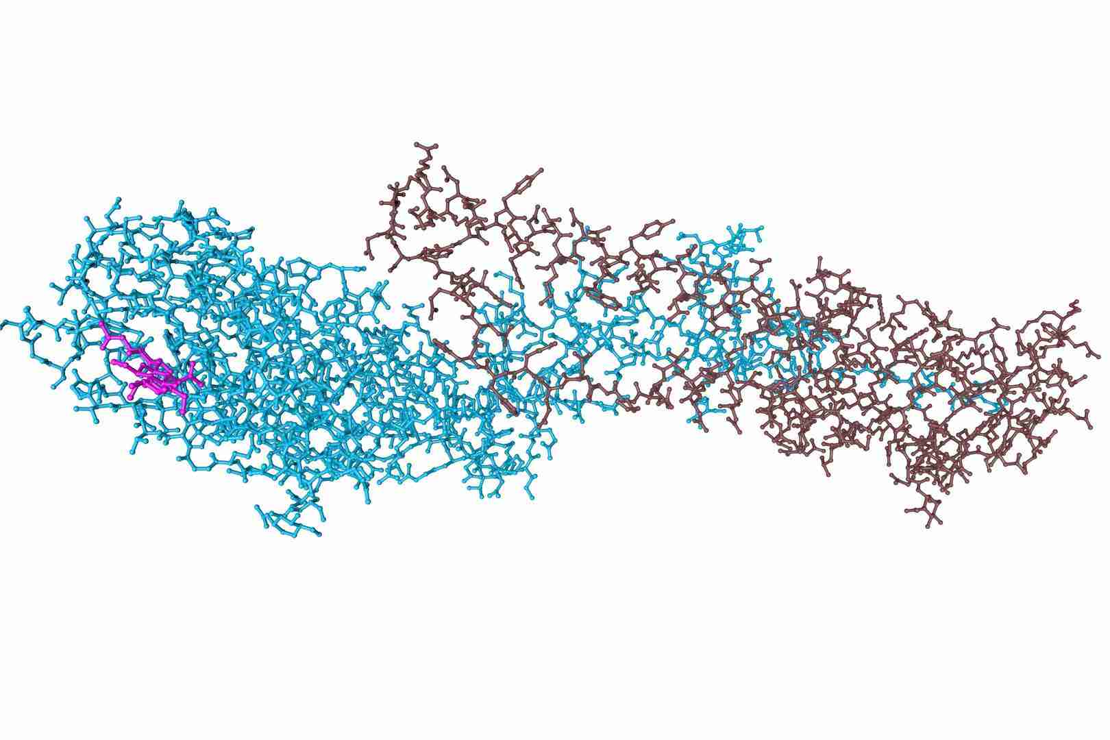 Protein Drugs Monitoring - Creative Diagnostics