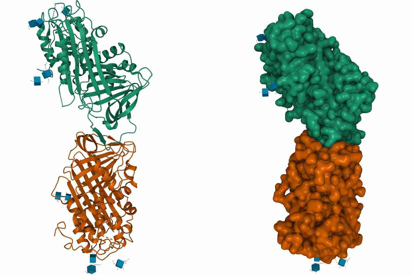 Protein Drugs Monitoring - Creative Diagnostics