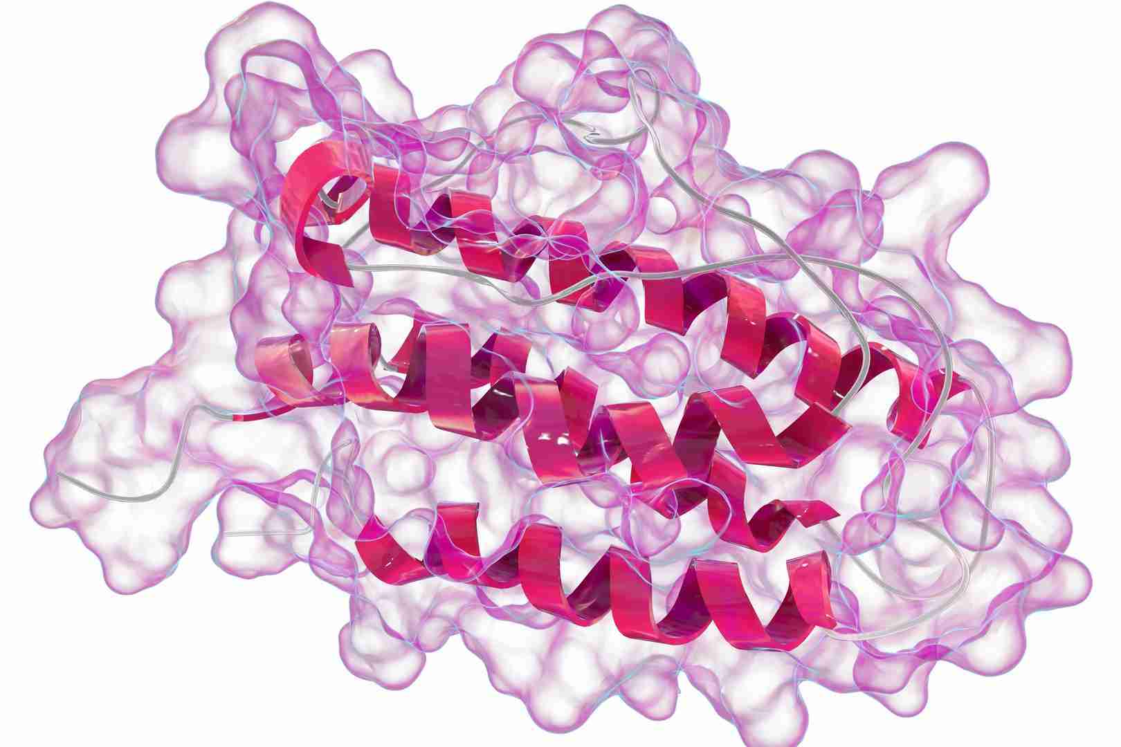 Protein Drugs Monitoring - Creative Diagnostics