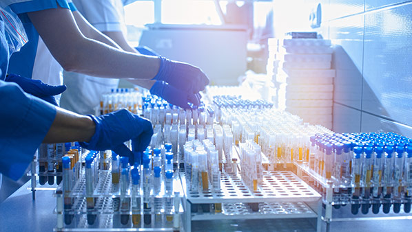 Services - Creative Diagnostics